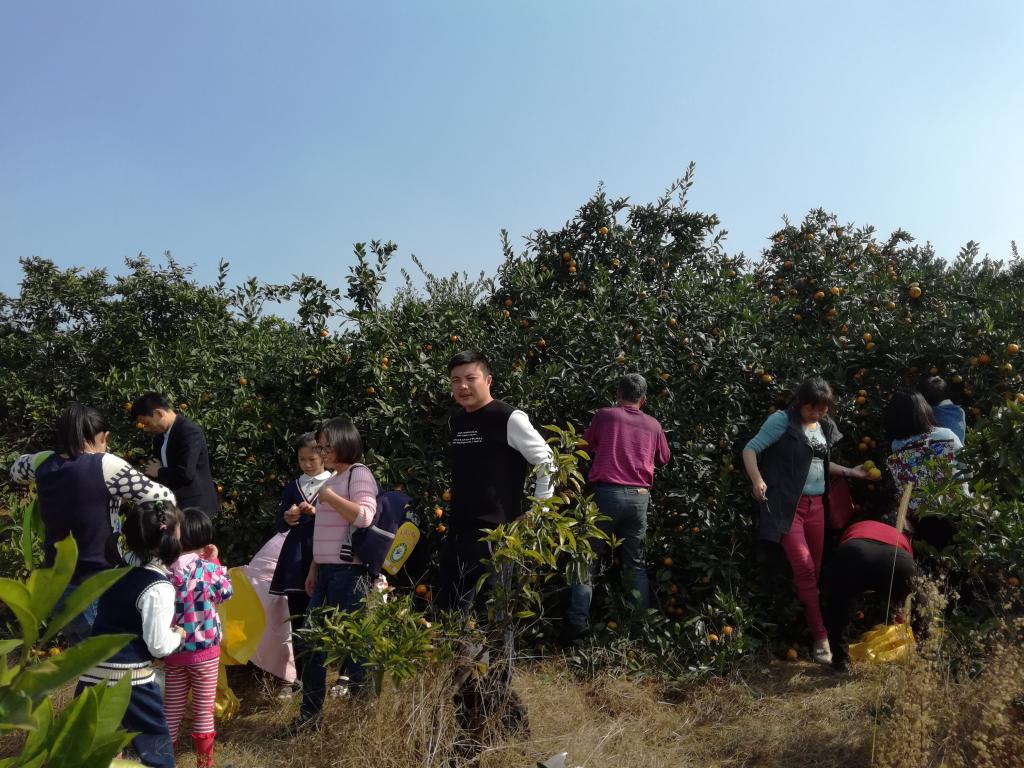 76net必赢线路检测中心