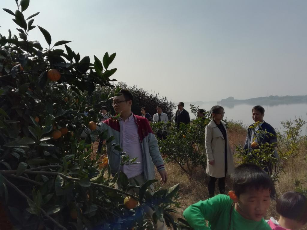 76net必赢线路检测中心