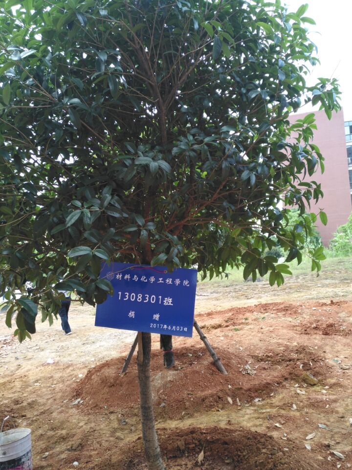 76net必赢线路检测中心