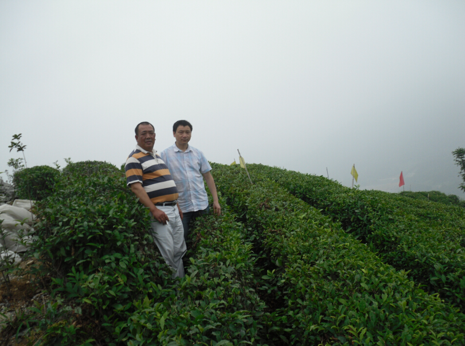 76net必赢线路检测中心